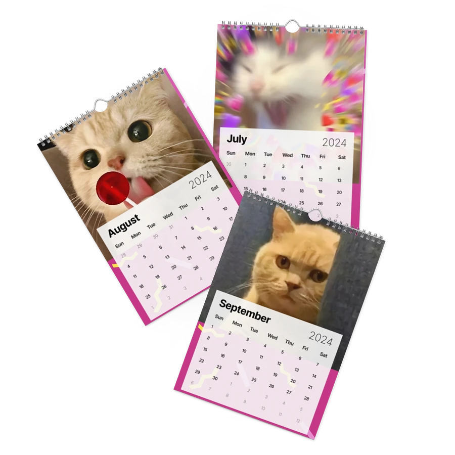 Wall Calendar (2024): Meme Cats product image (11)