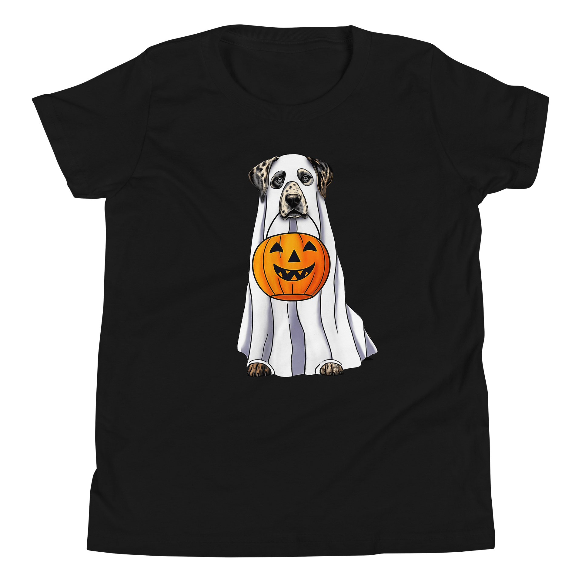 Halloween Catahoula Leopard Dog Youth T-Shirt product image (5)