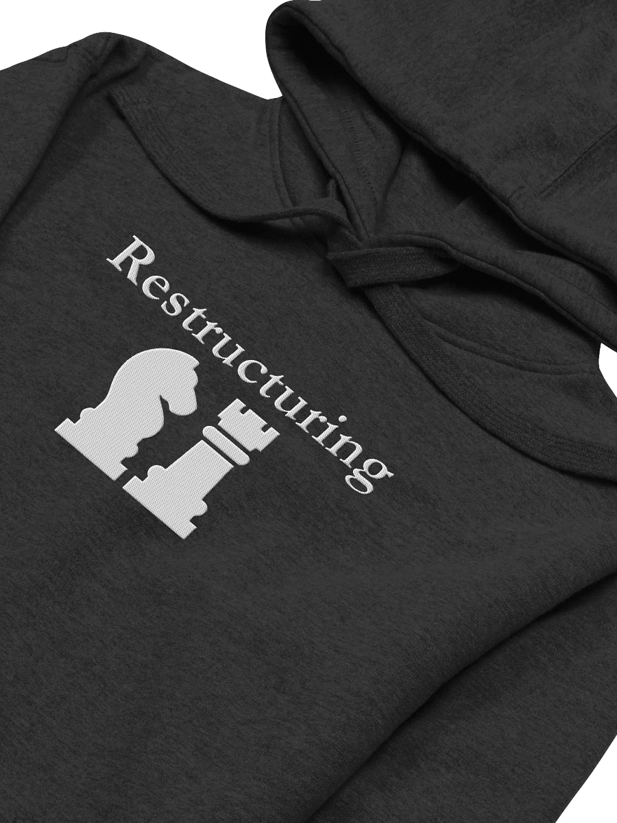 Restructuring - Hoodie product image (3)