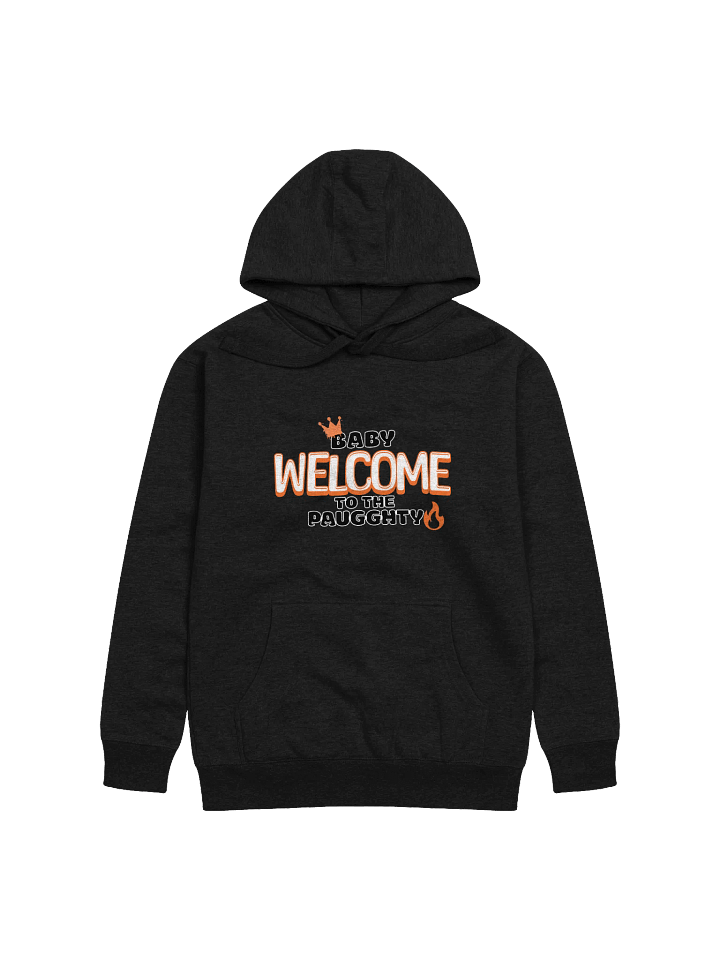 Orioles WTTP Unisex Hoodie product image (2)