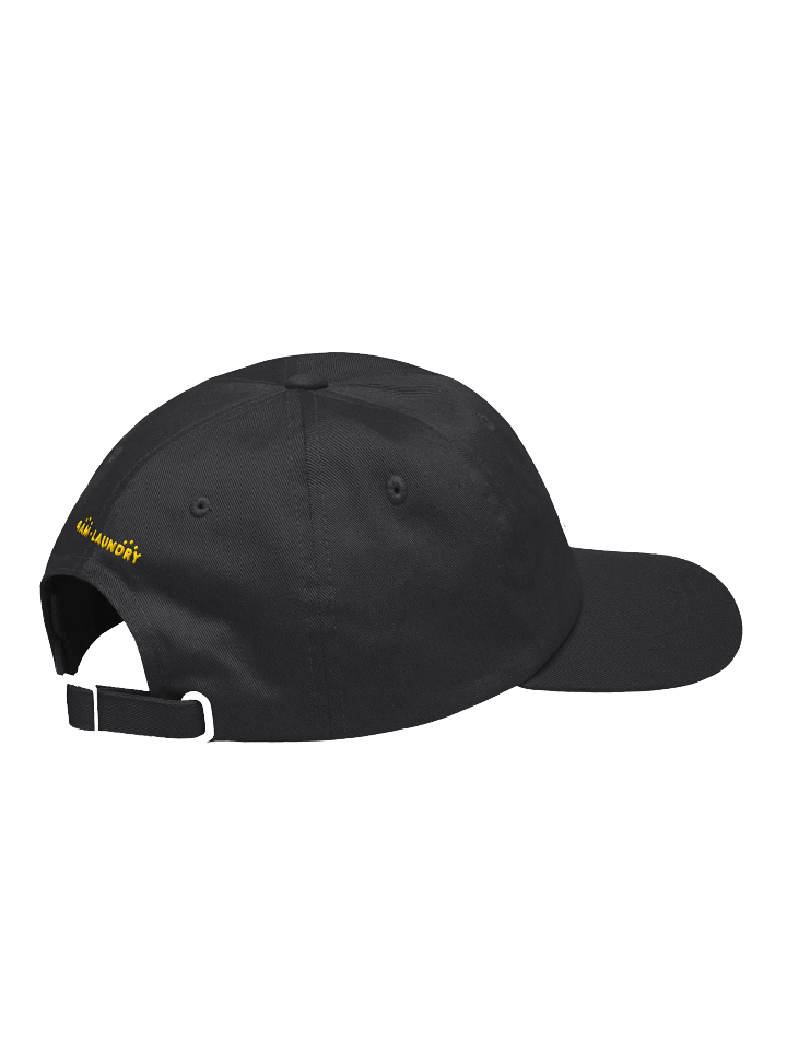 Junk Bin Dad Hat product image (2)