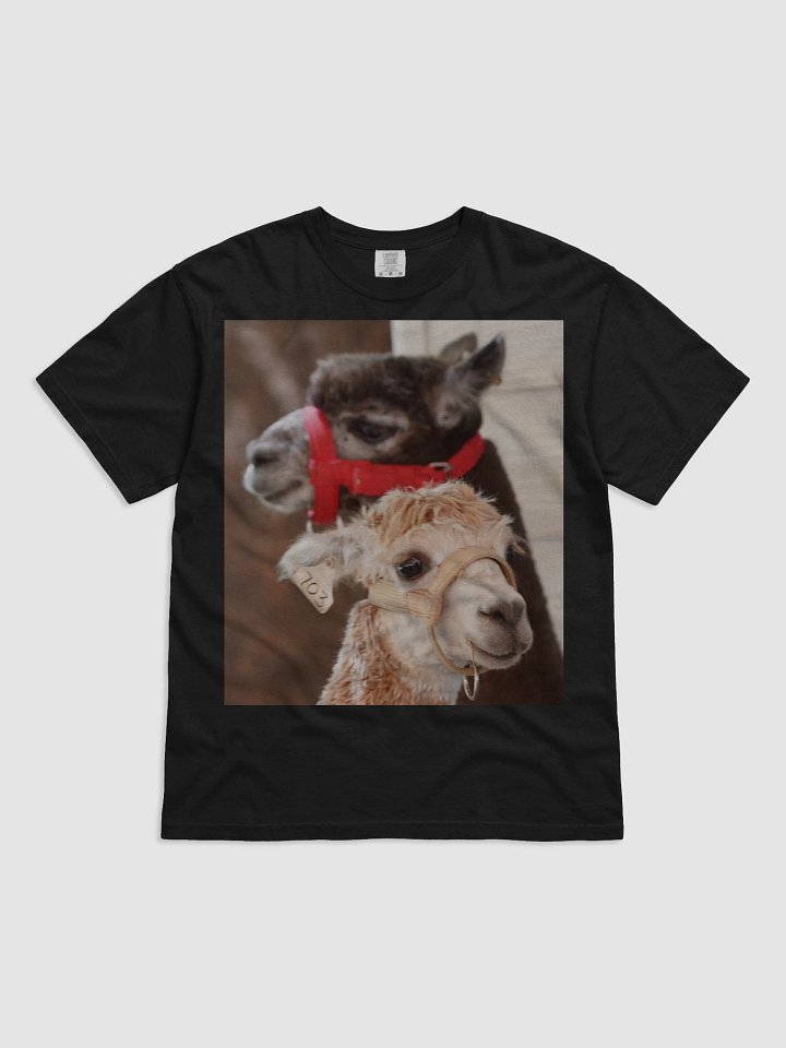 Alpaca Harmony T-Shirt product image (1)