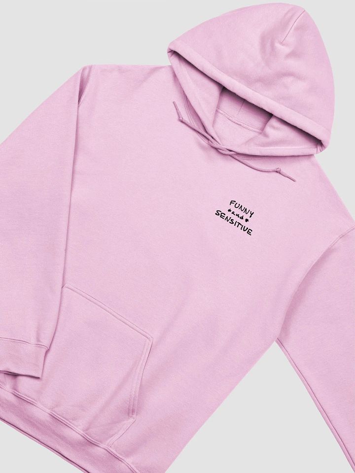 FUNNY *and* SENSITIVE (sm. design) classic hoodie product image (37)