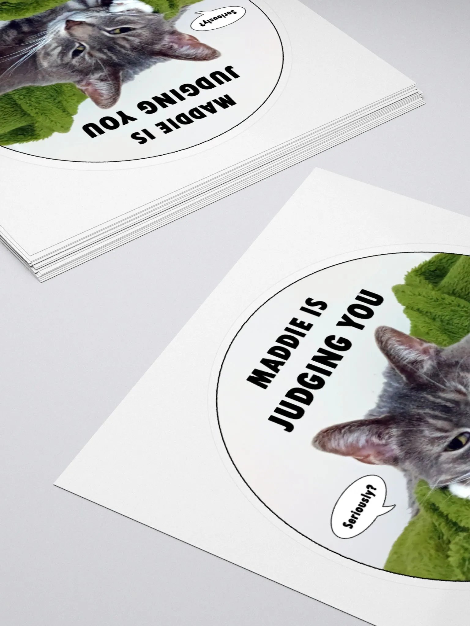 Judgy Maddie Sticker product image (4)