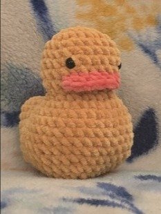 Duck Pal product image (1)
