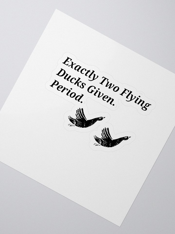 Exactly Two Flying Ducks Given product image (2)