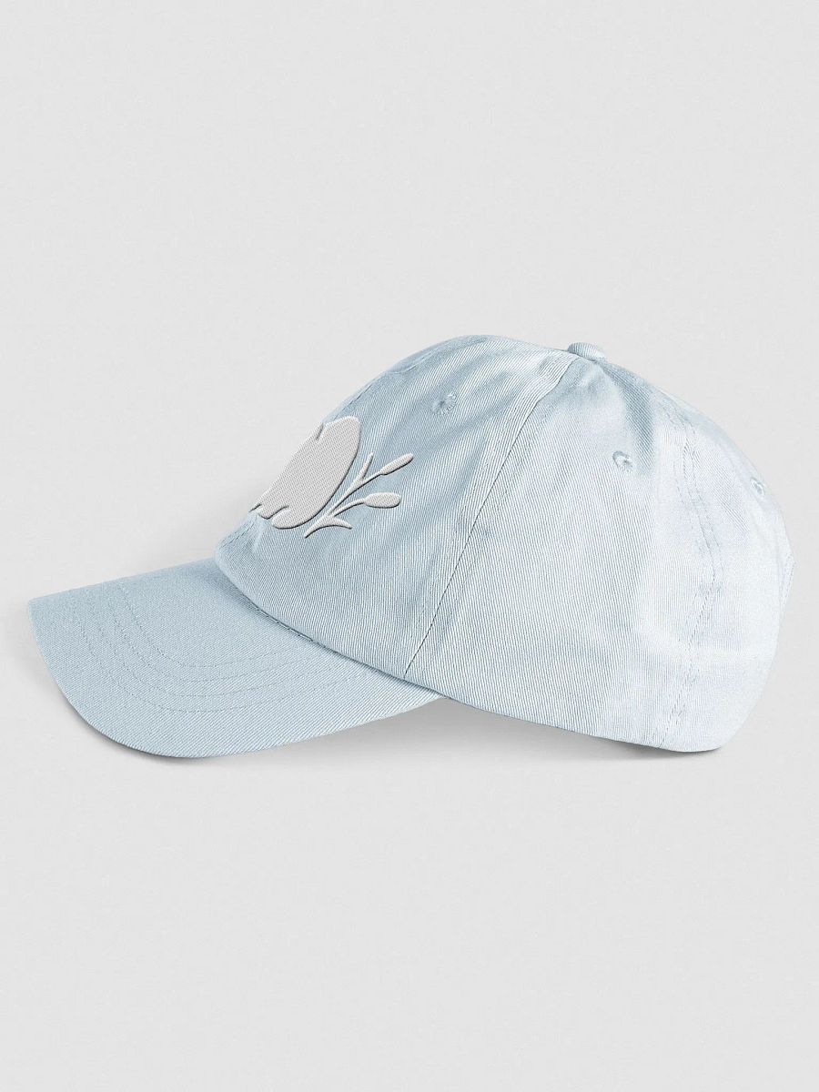 Eepy Fronk Pastel Dad Hat product image (11)