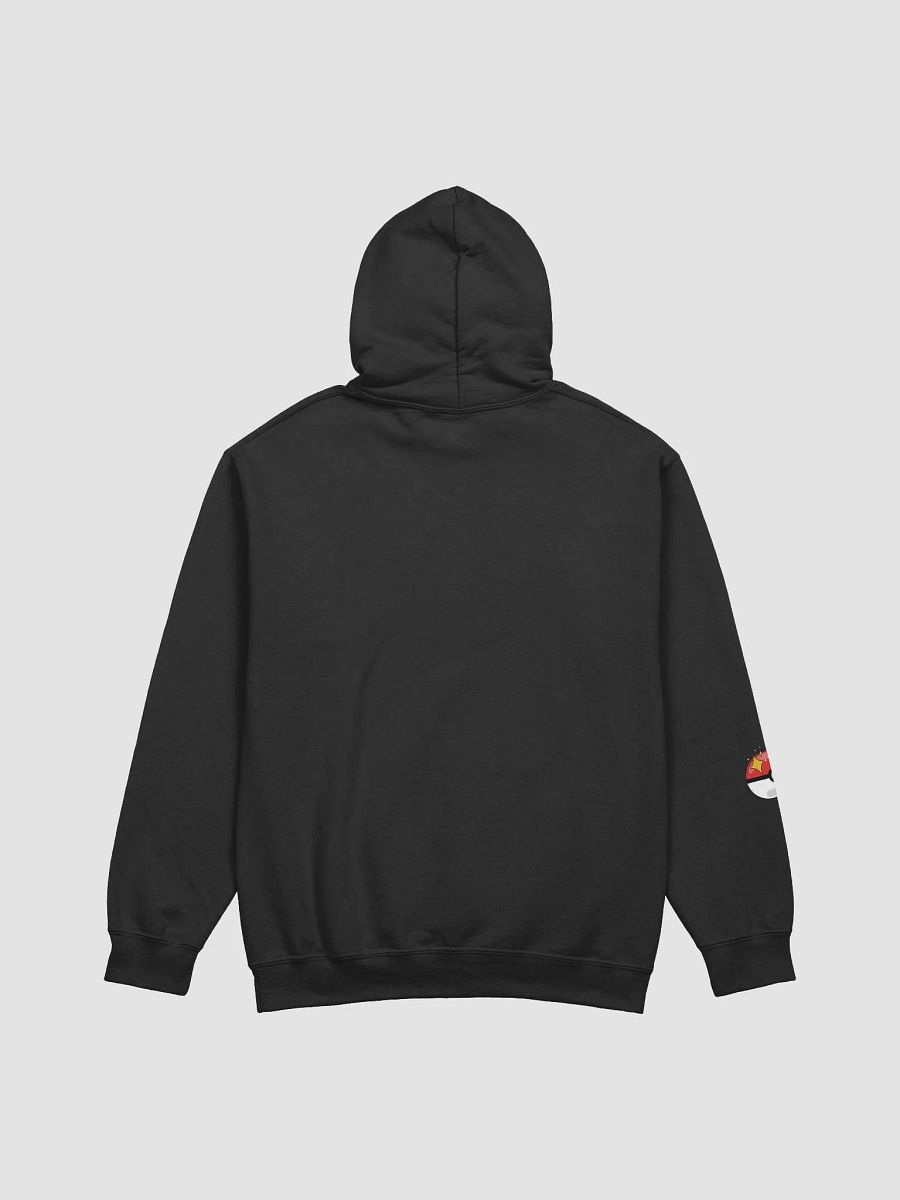 SHOFU RTS Hoodie (Red Print) product image (5)