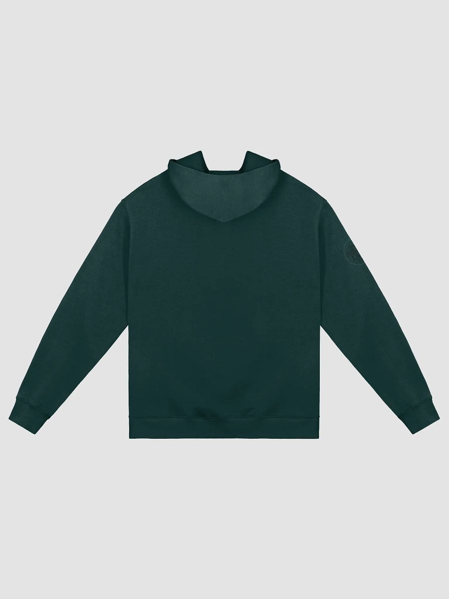 Alliance LARP Virginia Hoodie product image (7)