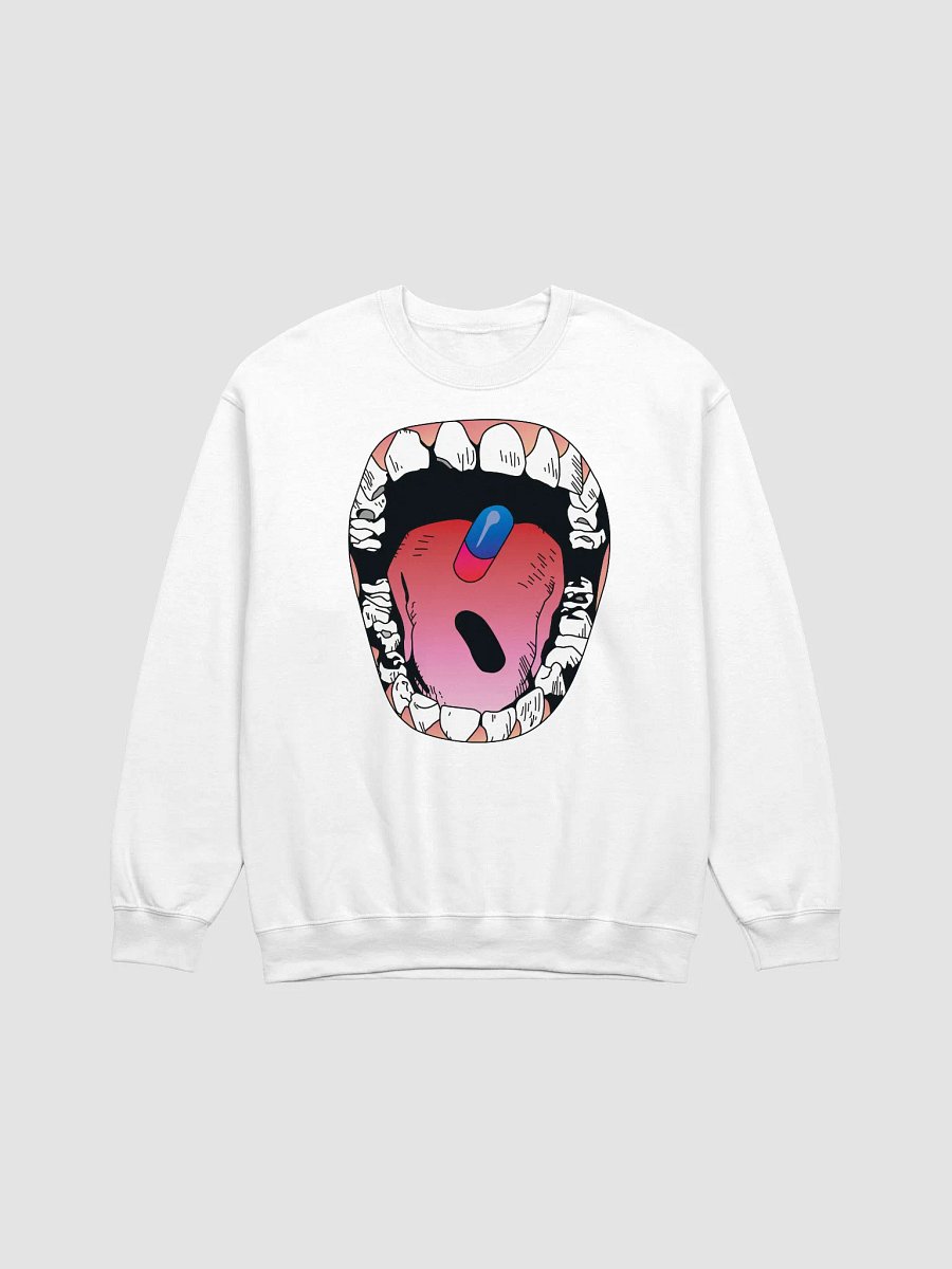 tastelikecandy V4 swtshrt product image (9)