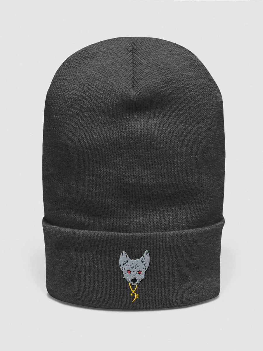 Lobito Cuffed Beanie product image (2)