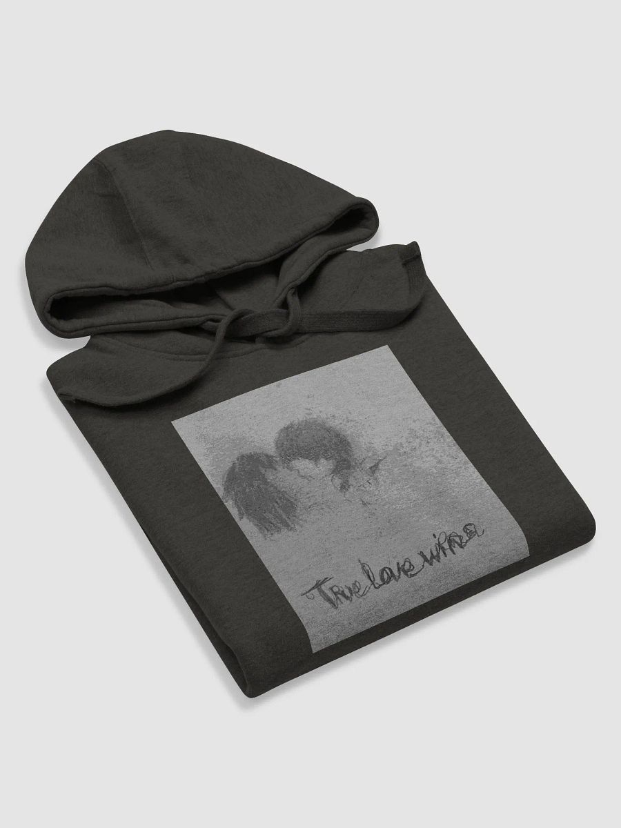 FUJOSHI HOODIE!!! product image (4)