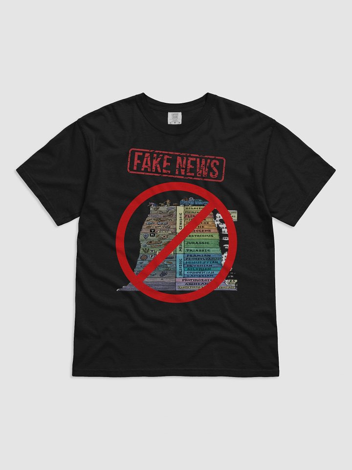 FAKE NEWS product image (1)