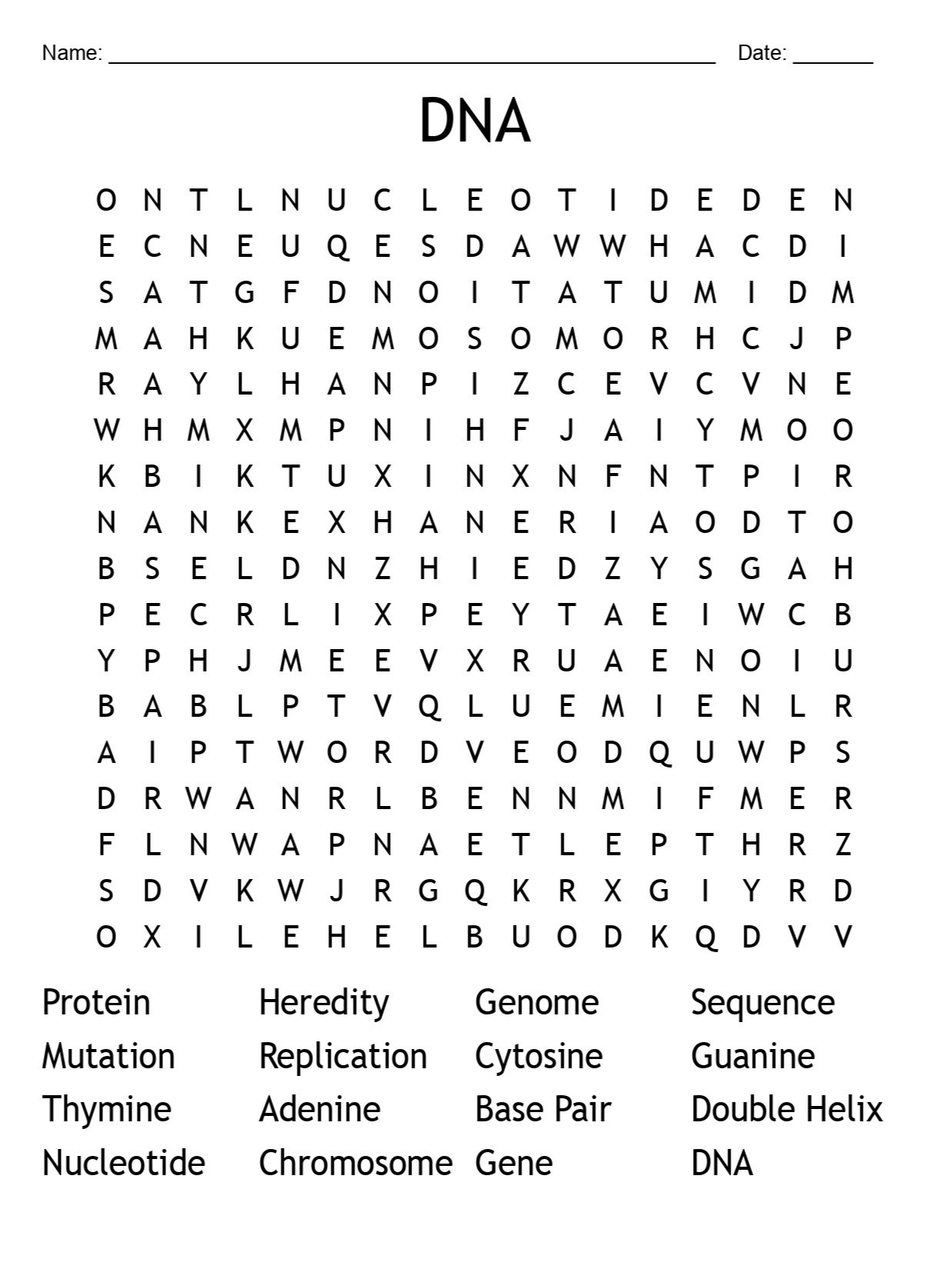 Printable DNA Word Search – 16 Key Vocabulary Puzzle Activities product image (1)