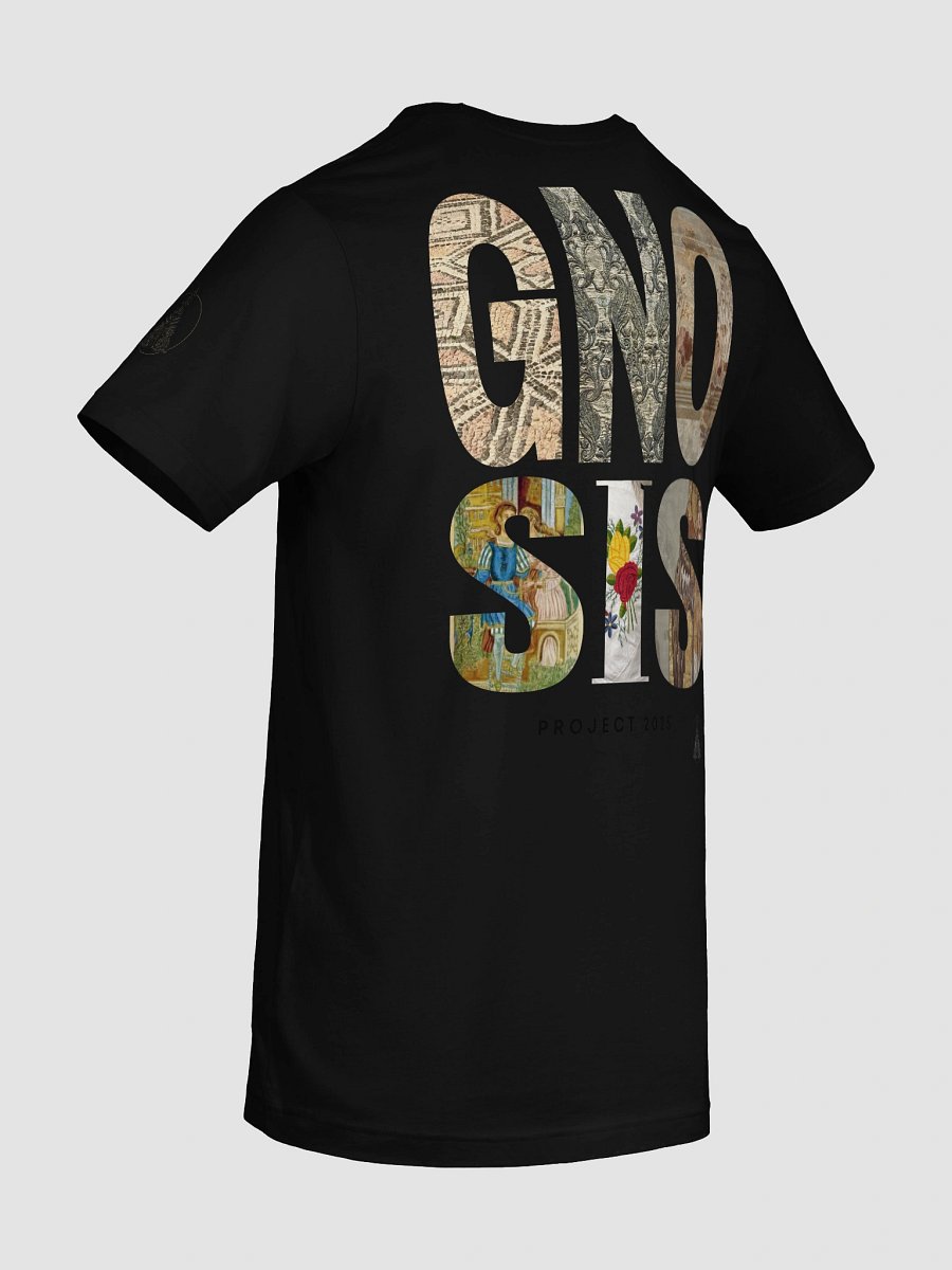 Gnosis Project 2025 product image (10)