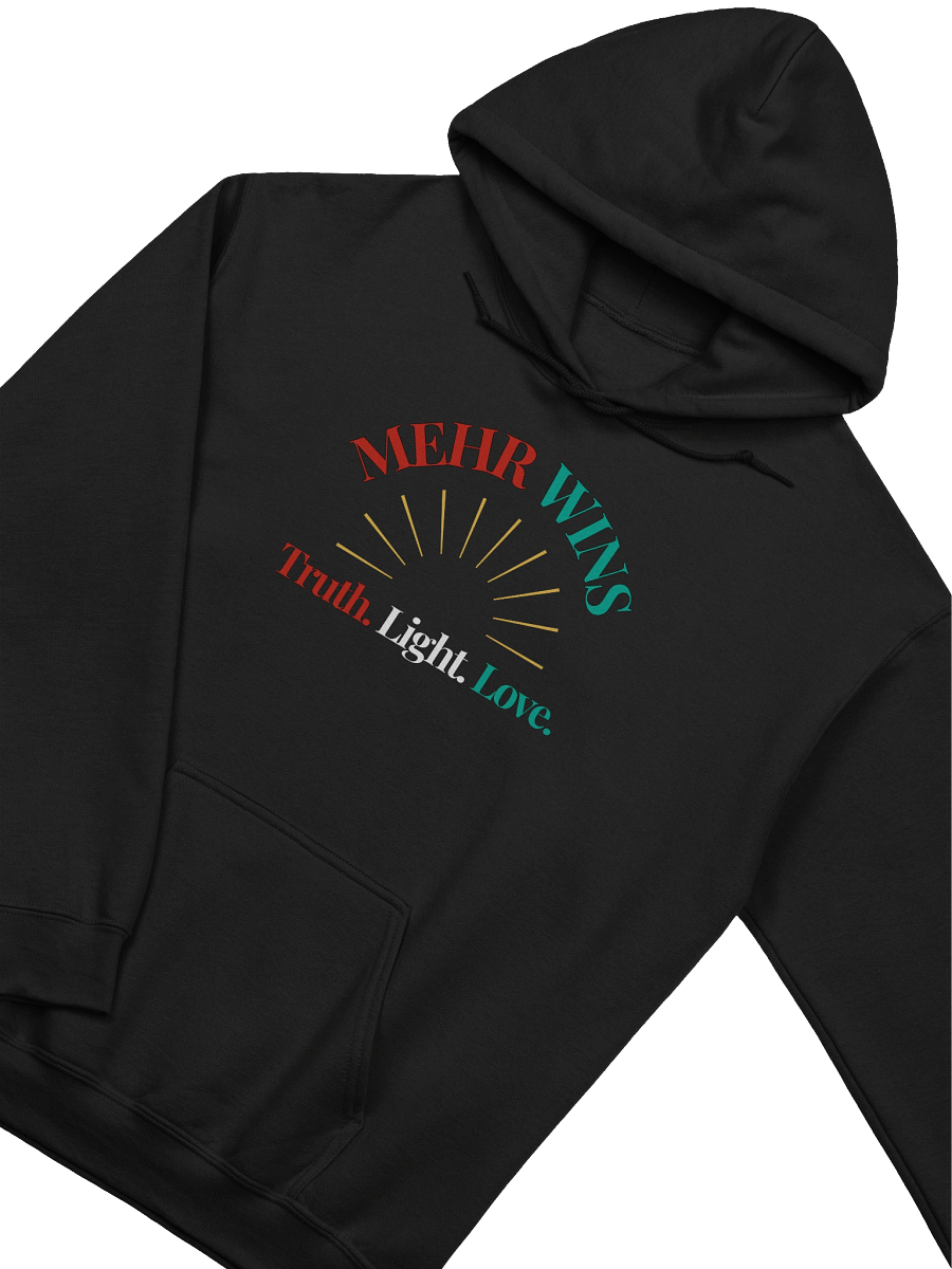 Truth Light Love - Hoodie (Style 2) product image (19)