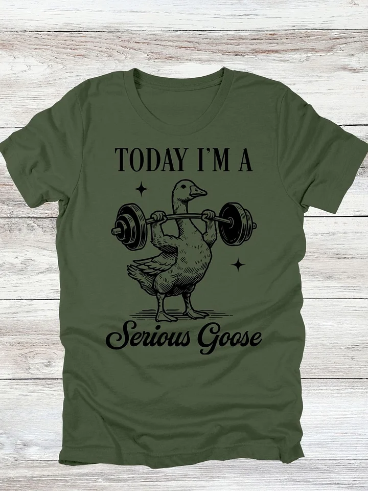 Today I'm A Serious Goose T-Shirt product image (1)