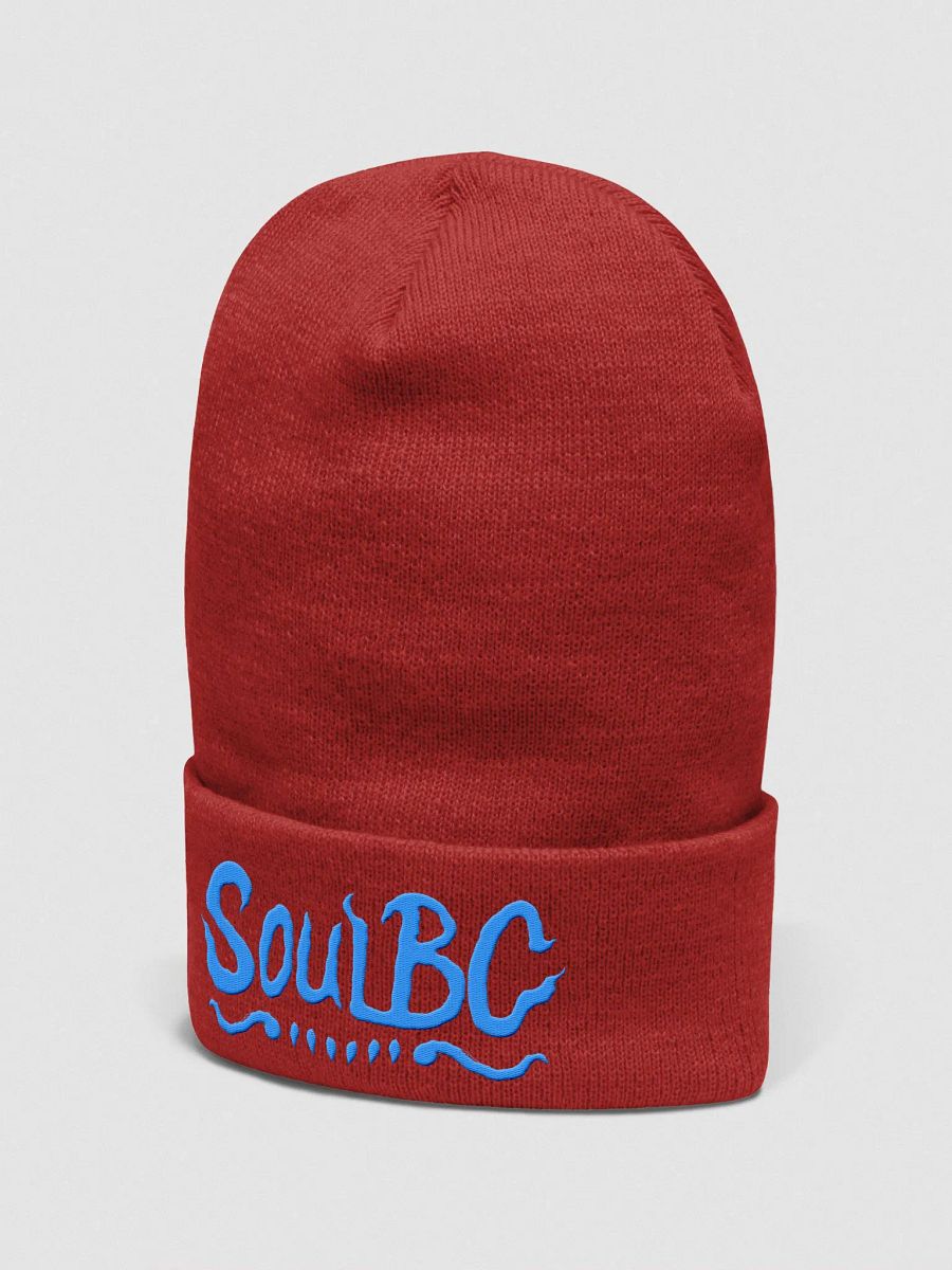 Soul Bite Beanie product image (3)