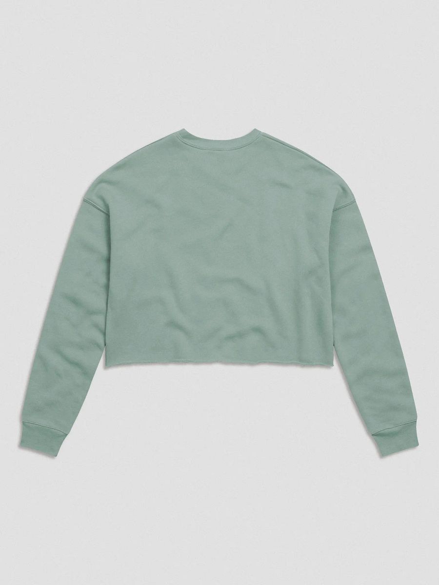 The B-Team Crop Sweatshirt product image (6)