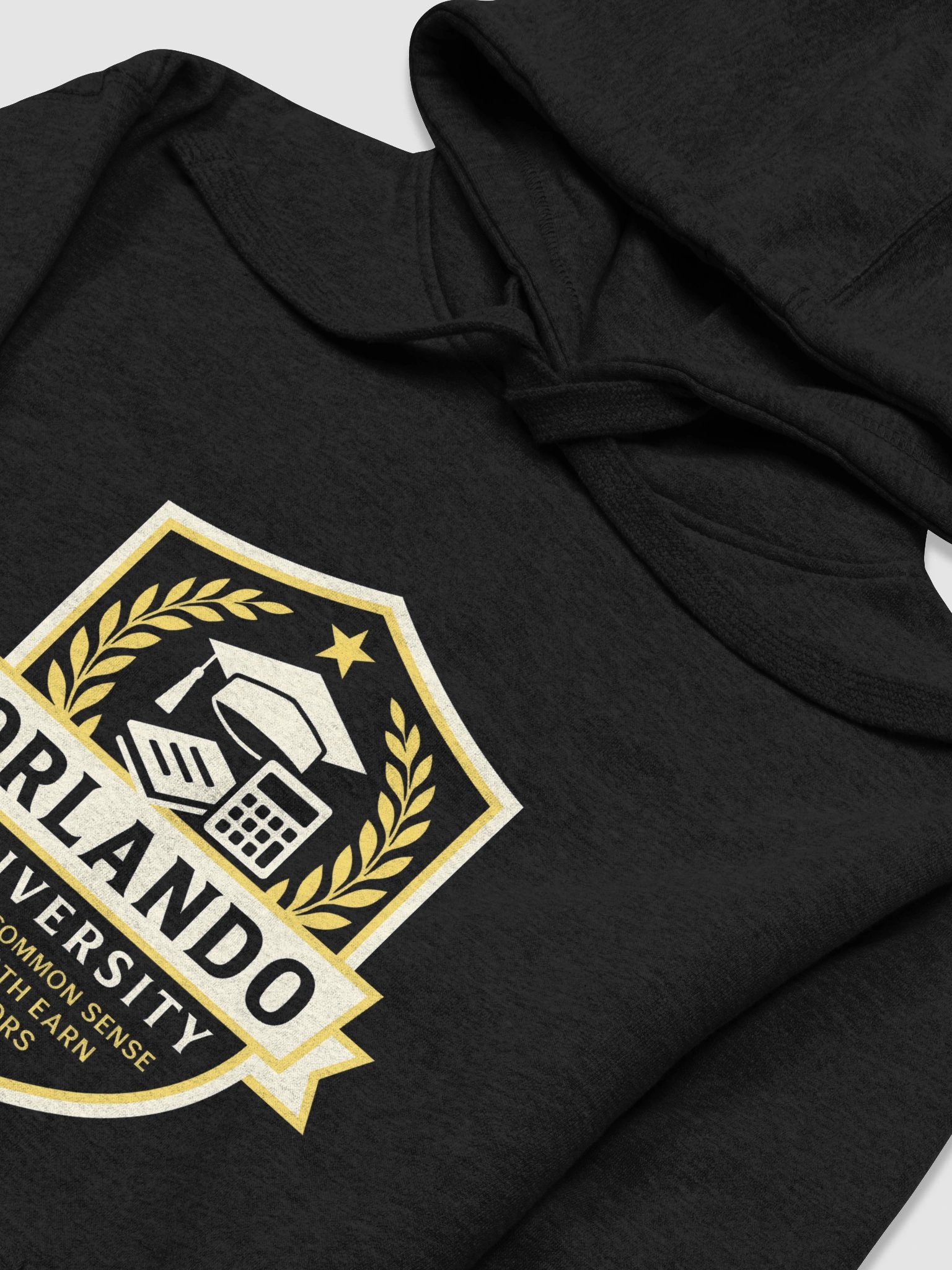 Orlando University Hoodie – Earners Only Edition product image (3)