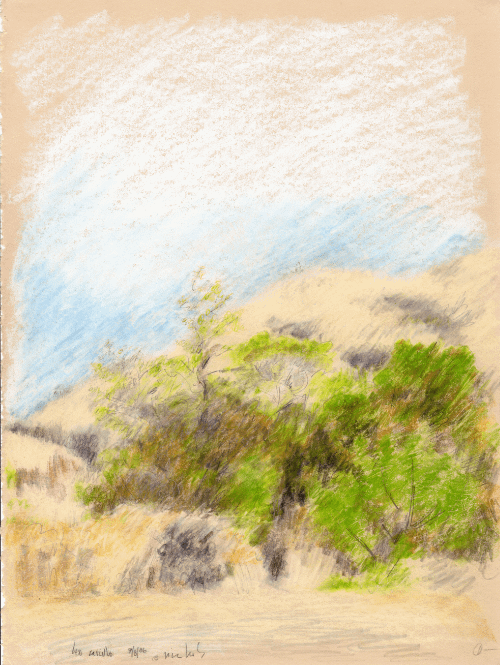 Leo Carillo State Park, CA #1 09.08.86 print