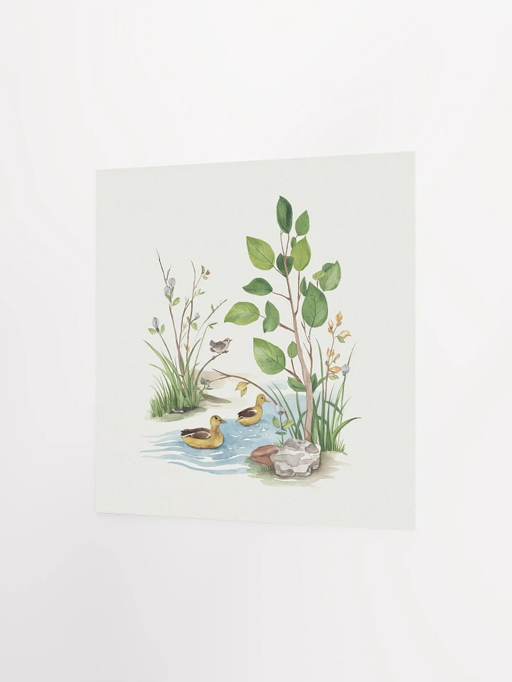 Tranquil Ducks Watercolor - Poster product image (2)