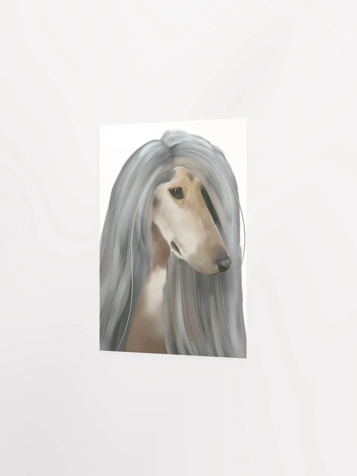 Afghan Hound product image (2)