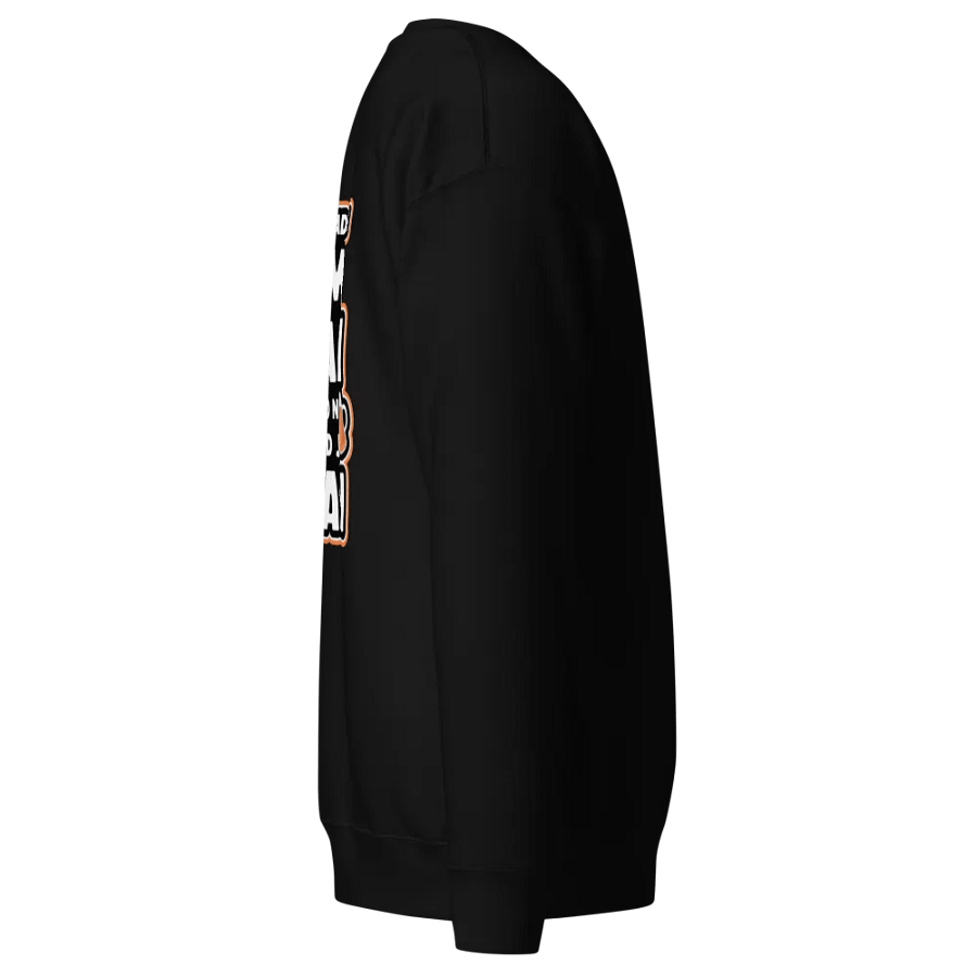 Premium Sweatshirt KUM PIJAN ŽEDAN product image (23)
