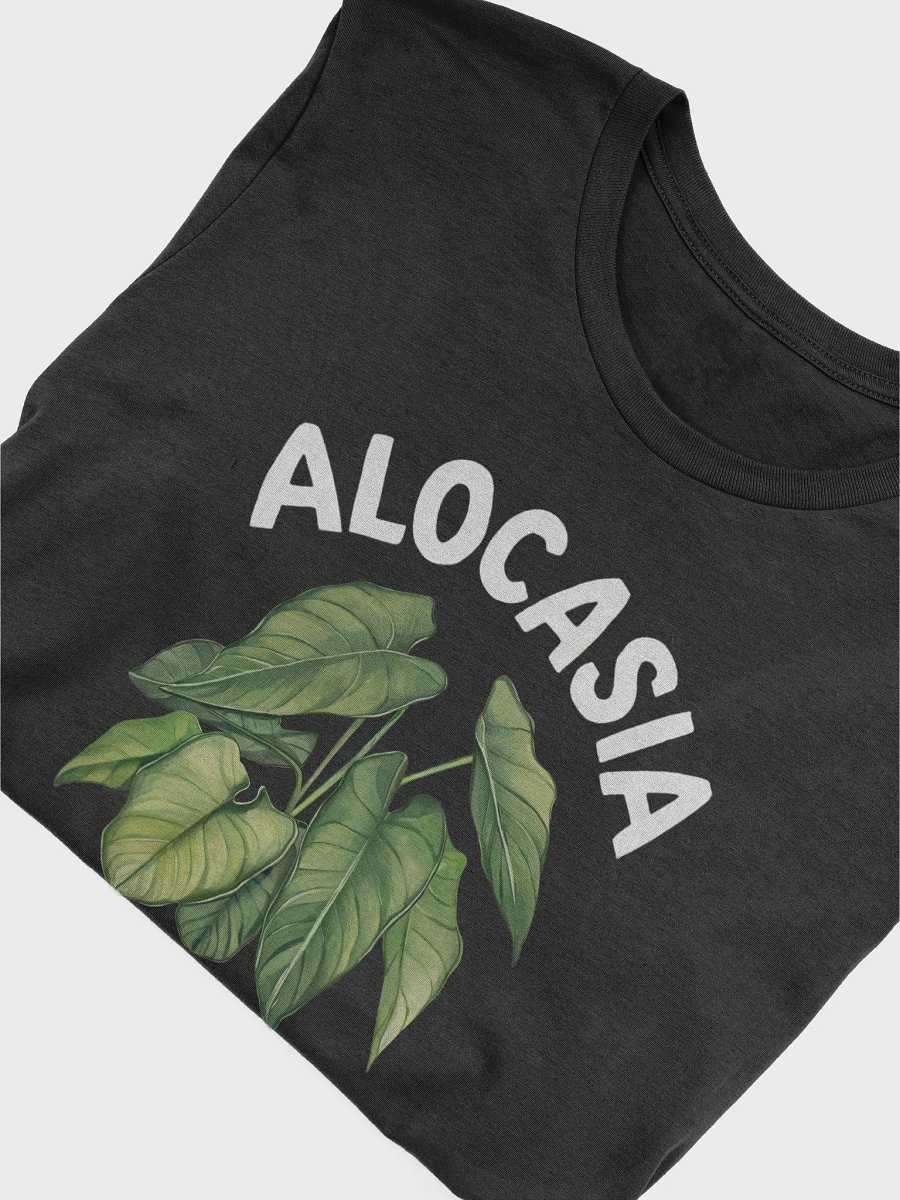 Alocasia Club product image (21)