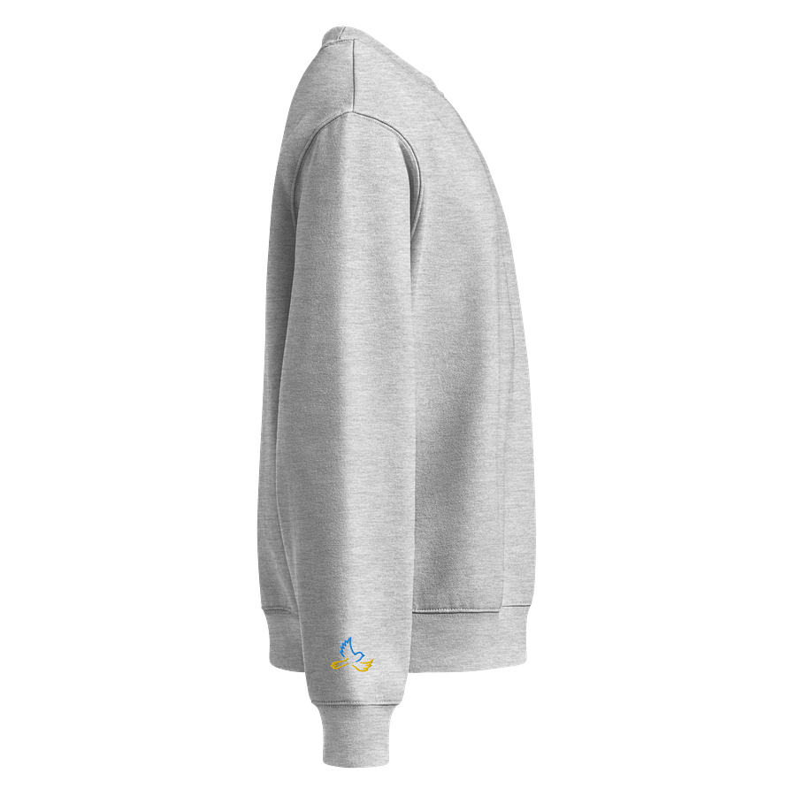 FAME Bold Block Sweatshirt product image (4)