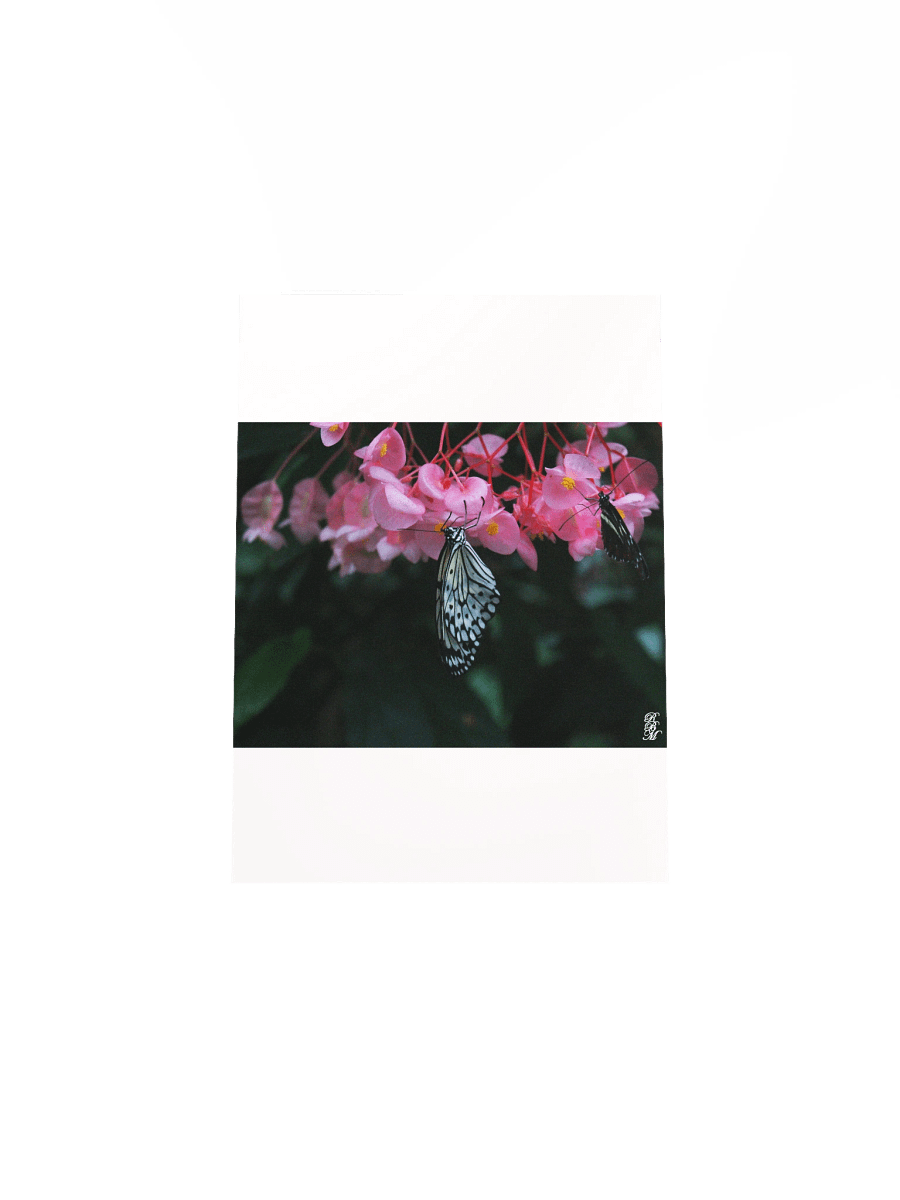 Butterfly Hanging from Flowers product image (30)