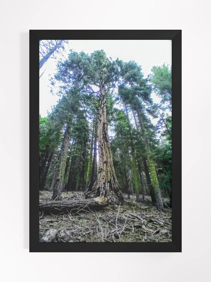 ancient times product image (1)