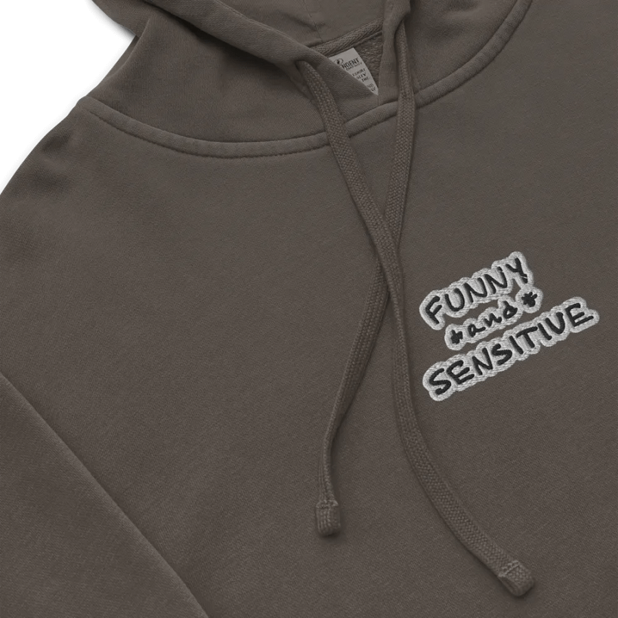 FUNNY *and* SENSITIVE (bubble design) embroidered pigment hoodie product image (10)