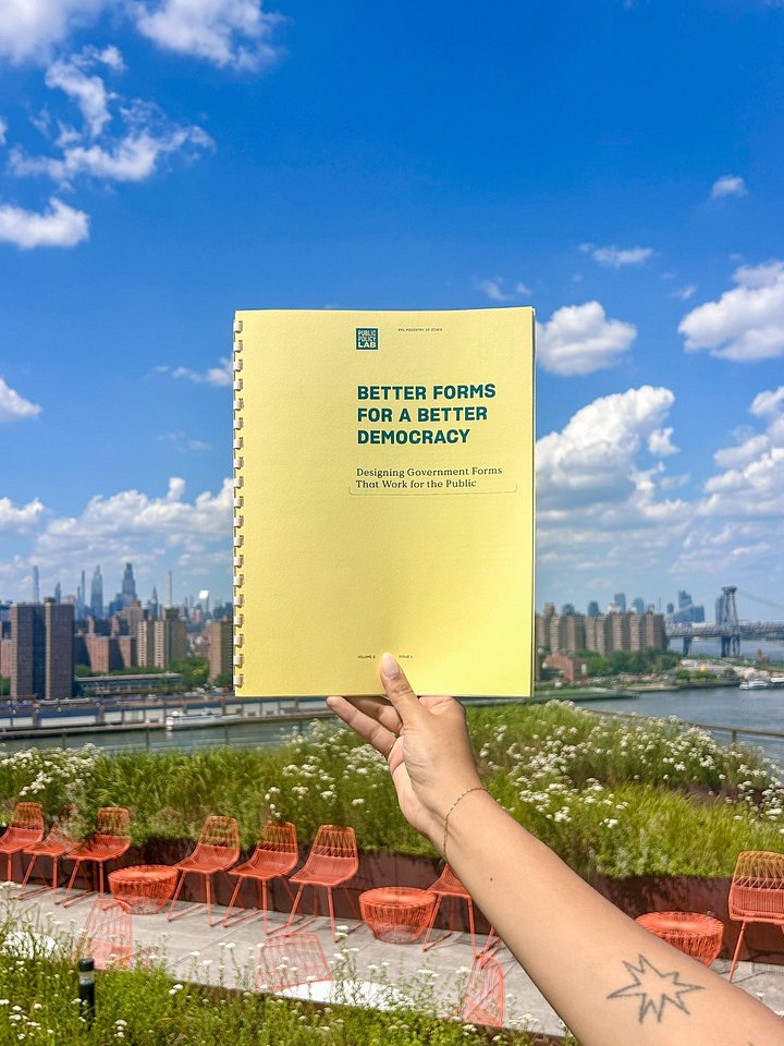 PPL Zine: Better Forms for a Better Democracy product image (1)