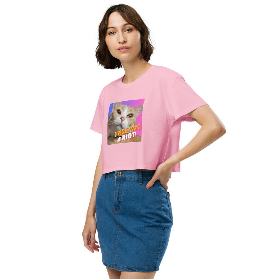 Moxie Bi-Pride Crop Top Tee product image (43)