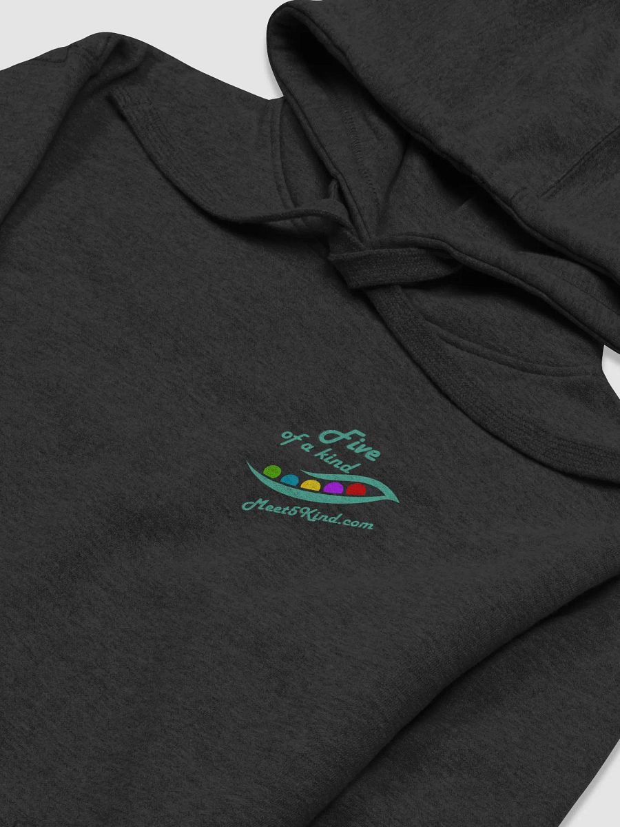 Travel Therapy Compass Hoodie product image (4)