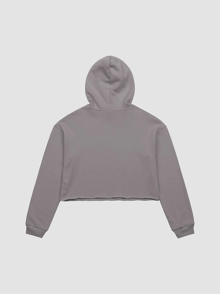 Stay Sassy Cropped Hoodie - Grey product image (2)