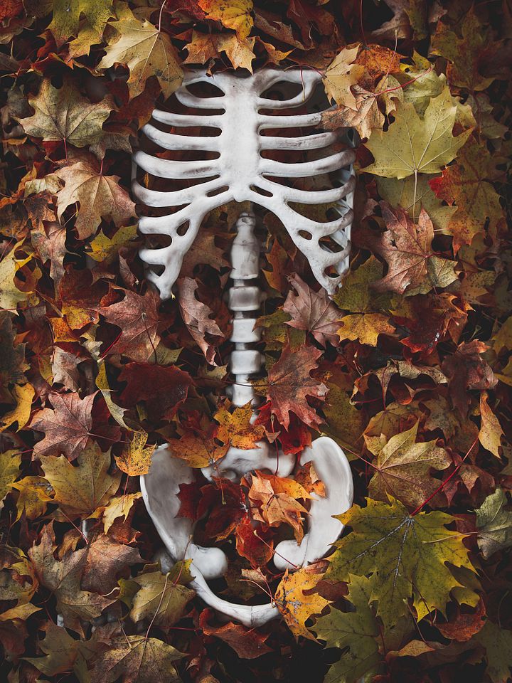"Fall Asleep" - 8x10 Matte Print product image (1)