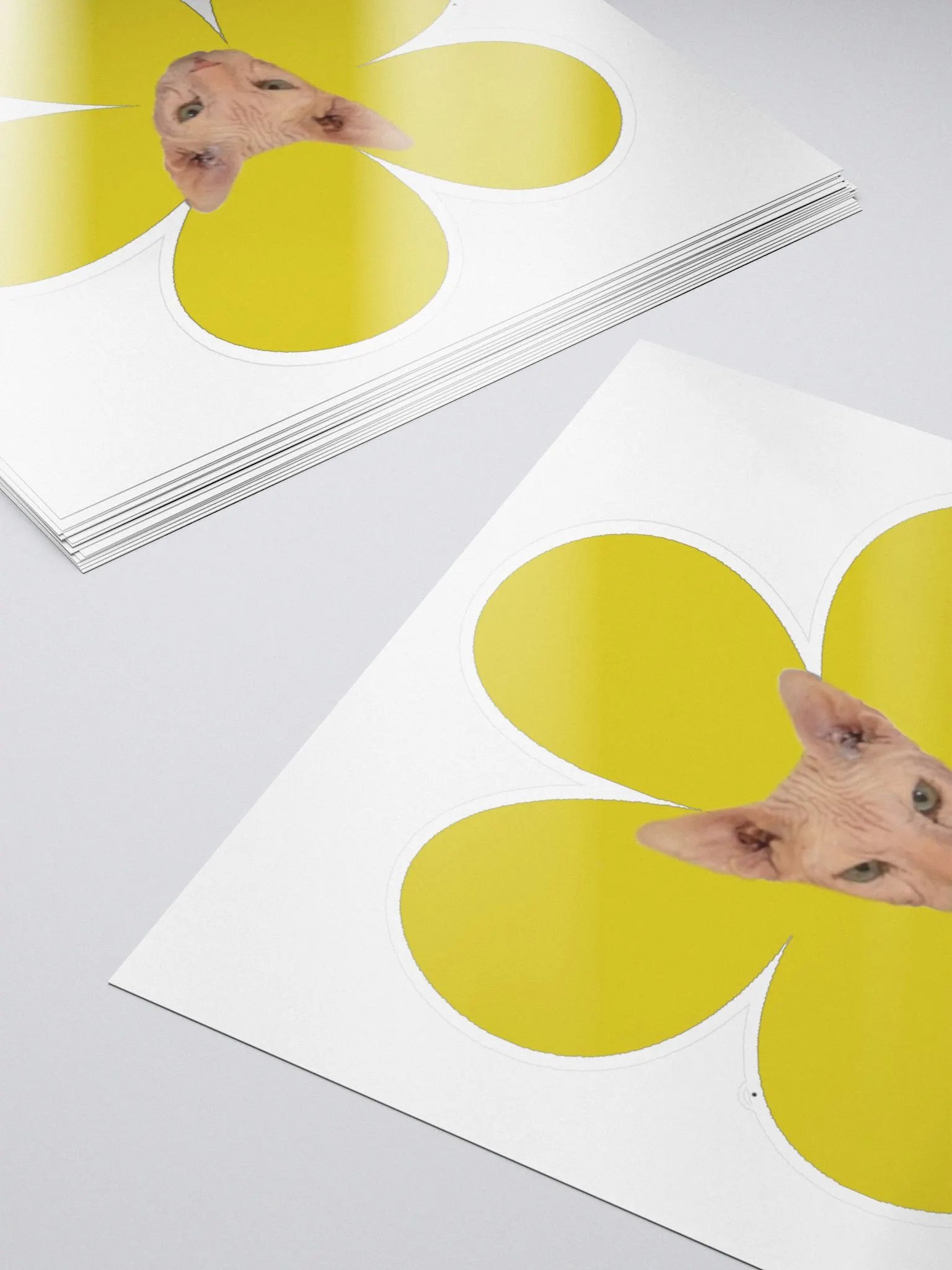 Stefflower sticker! product image (5)