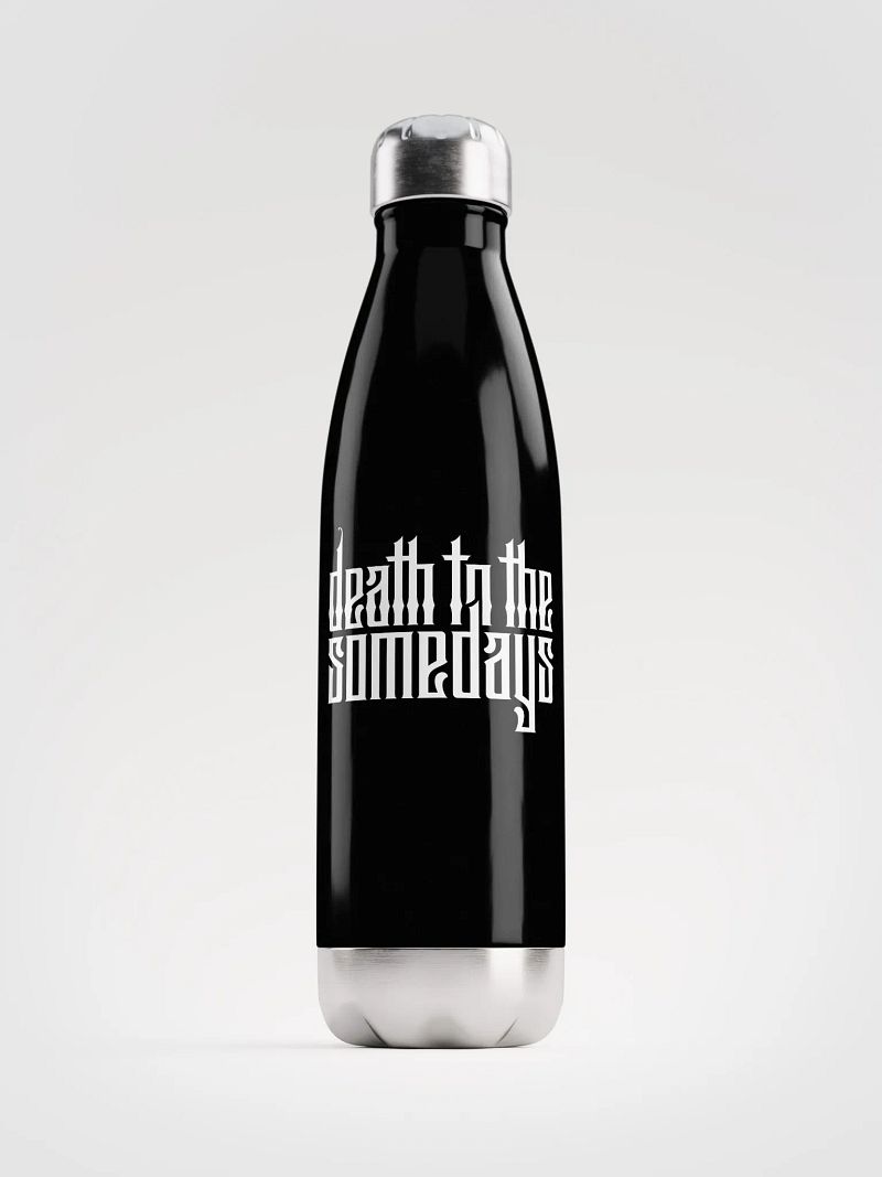 DTTS Stainless Steel Bottle