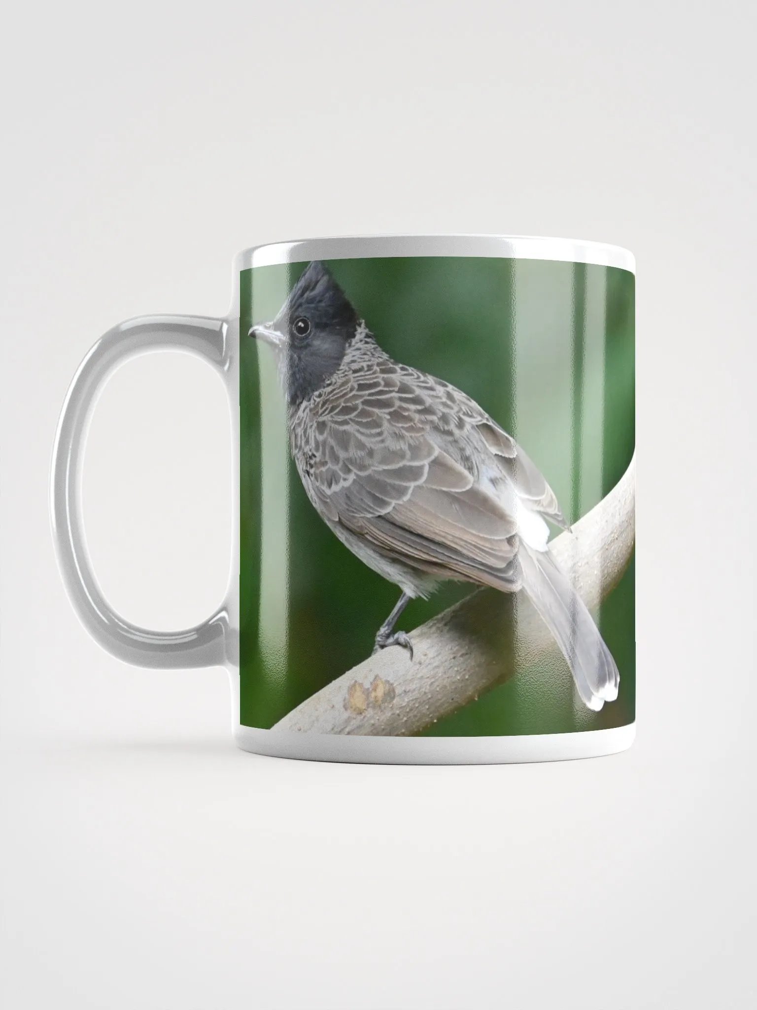 IUCAA Birds MUG product image (6)