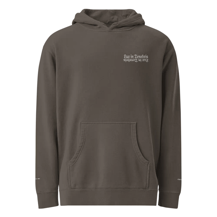 In Light Hoodie product image (1)