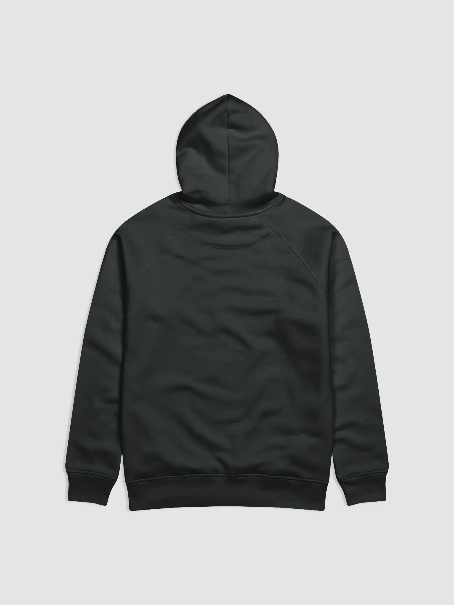Hoodie product image (2)