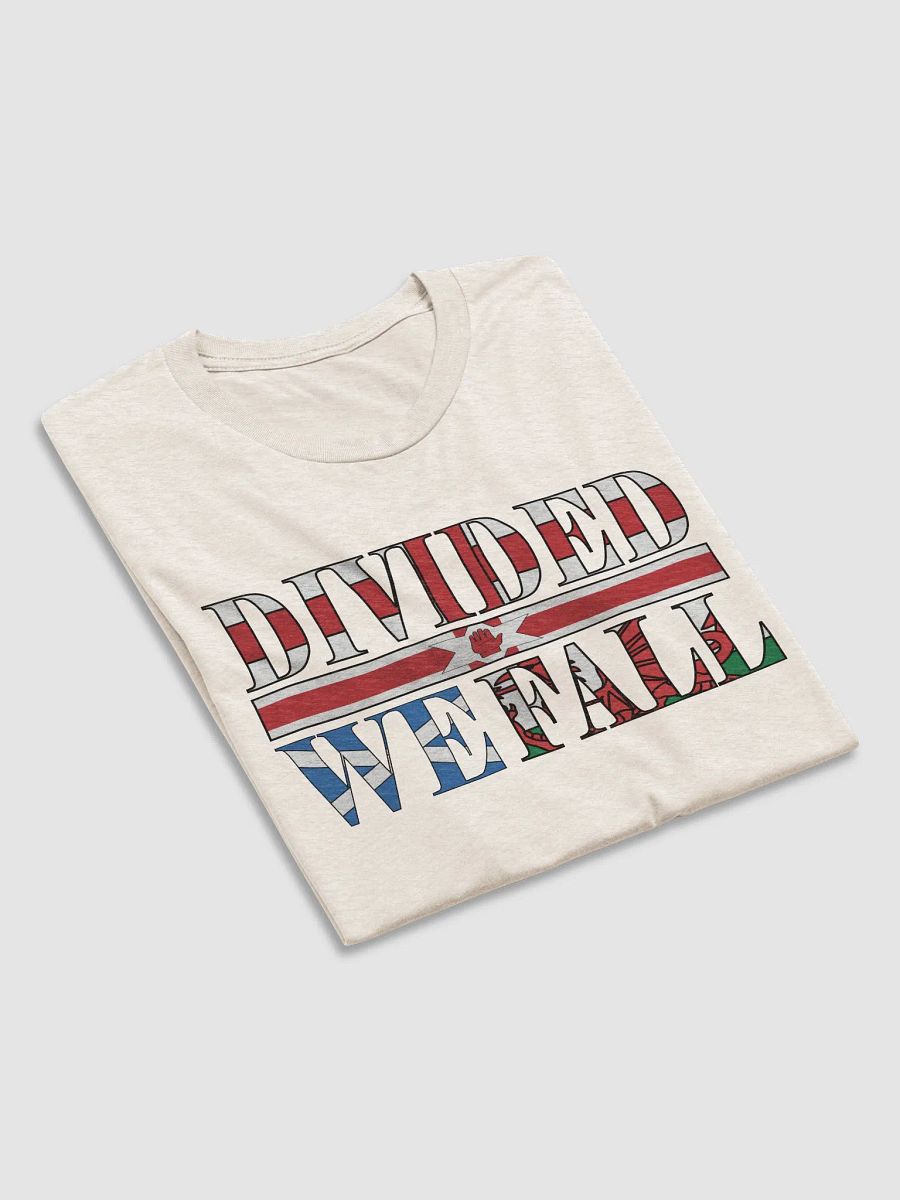 Divided We Fall - UK - Bella+Canvas Triblend Short Sleeve T-Shirt product image (4)