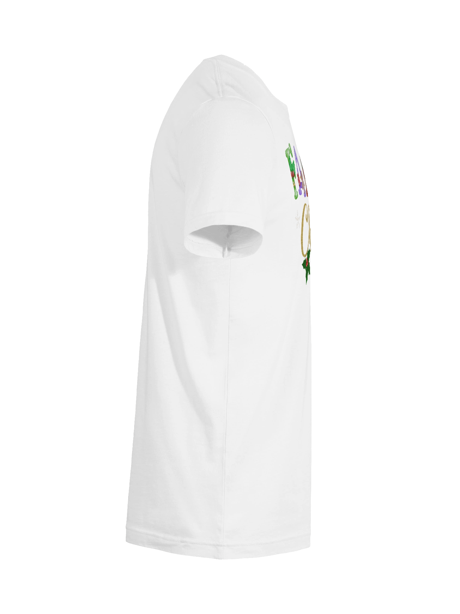 Festive Family Christmas T-Shirt product image (156)