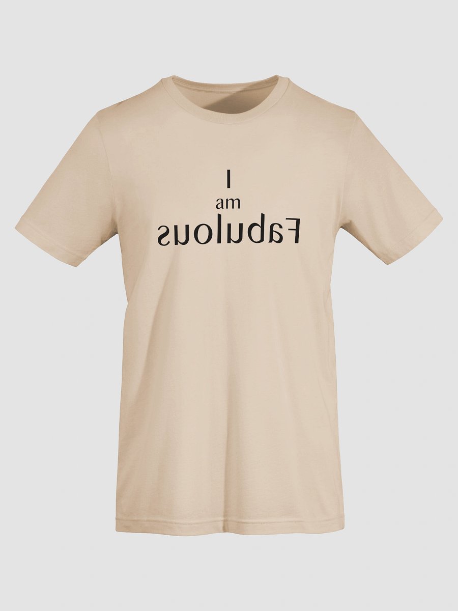 Mirror Message Tee – “I Am Fabulous” in Reverse (Read it in the Mirror) product image (55)