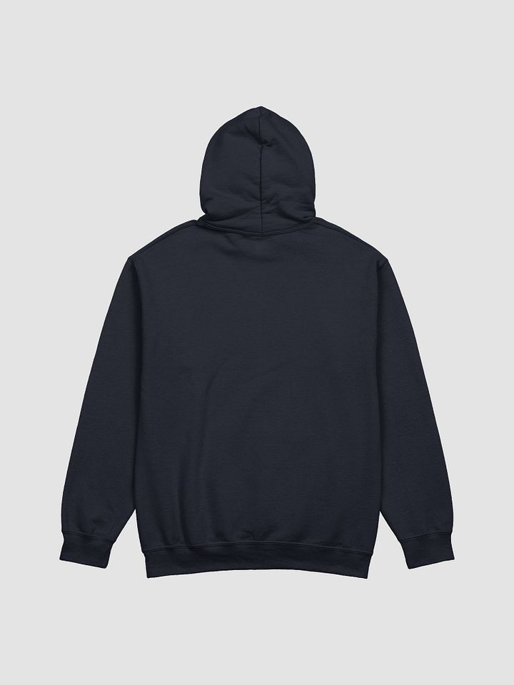 The Taran Show Hoodie Design 1 product image (2)