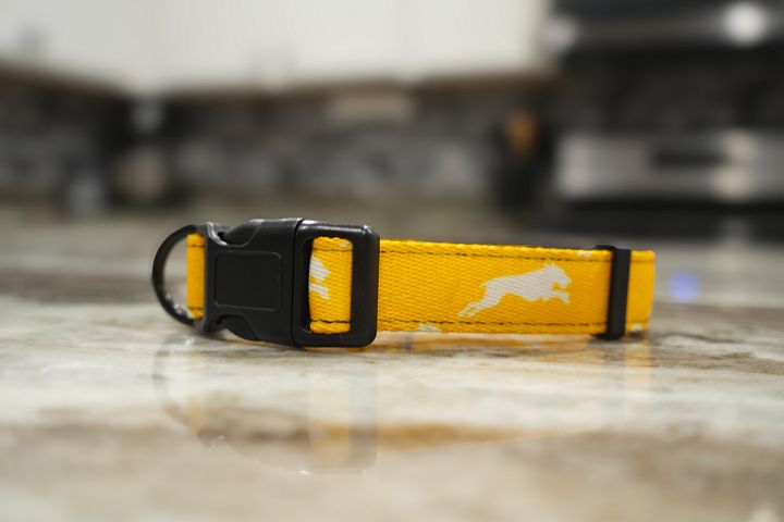 Pineapple Yellow Collar product image (4)