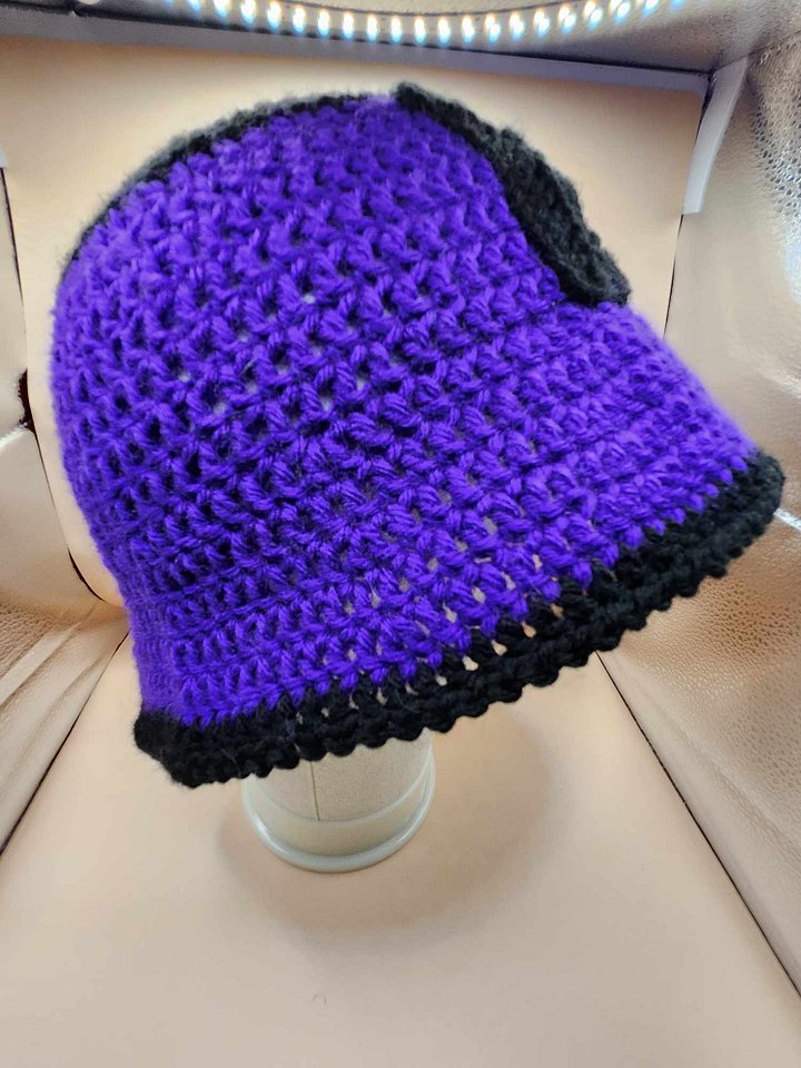 Painting the Town Purple and Black product image (2)