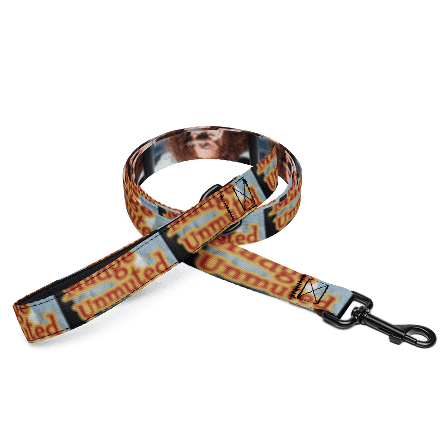 Pet Leash product image (1)